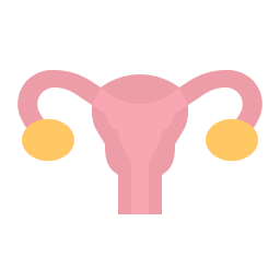 Uterus icon