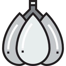 Clove garlic icon