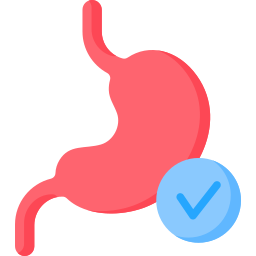 Stomach icon