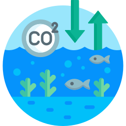 Ocean acidification icon