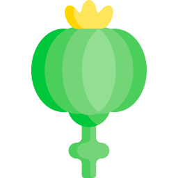opium ikona