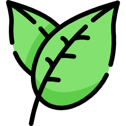 Leaf icon