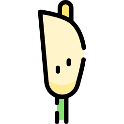 lilie icon