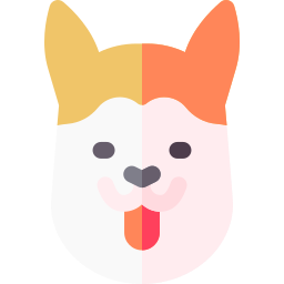 柴犬 icon