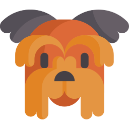 Yorkshire terrier icon