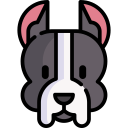 amerykański staffordshire terrier ikona