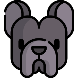 French bulldog icon