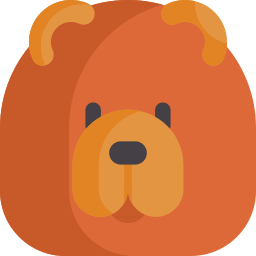 Chow chow icon