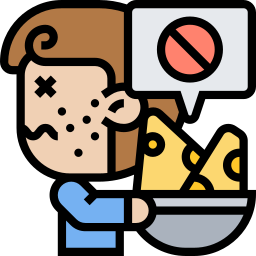 Cheese icon