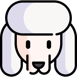 Poodle icon