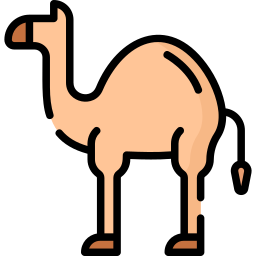 Camel icon