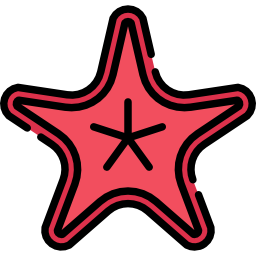 estrella de mar icono