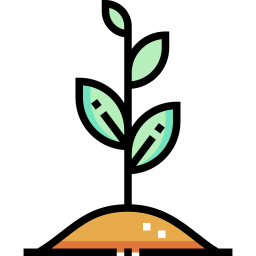 Sprout icon