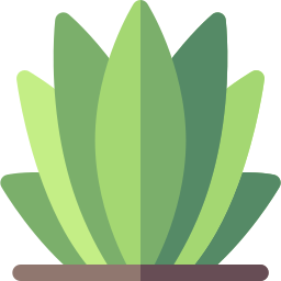 agave Icône