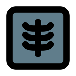 X-ray icon