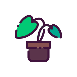 alocasia icon