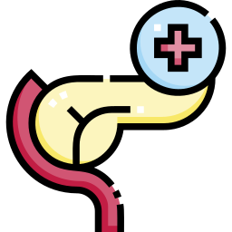 Pancreas icon