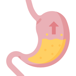 胃 icon