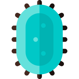 Bacteria icon