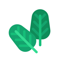 Spinach icon