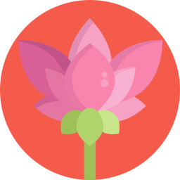 blume icon