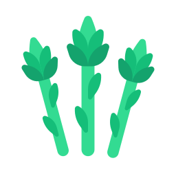 Artichoke icon