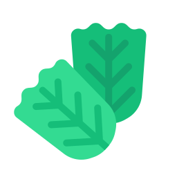 Spinach icon