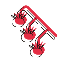помидоры черри иконка