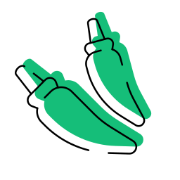 Green chili pepper icon