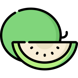 melon ikona