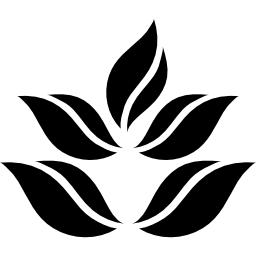 Leaves icon