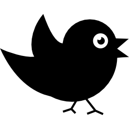 Bird of black feathers icon