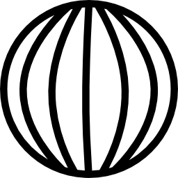 globo terrestre con griglia di linee verticali icona