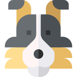 Australian shepherd icon