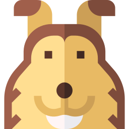 cane pastore delle shetland icona