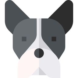 Boston terrier icon