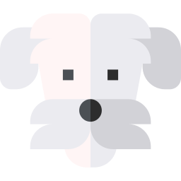 Bichon frise icon