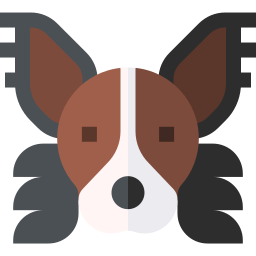 Papillon icon