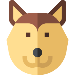 shiba inu icono