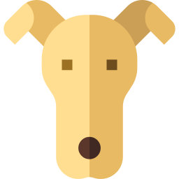 greyhound Ícone
