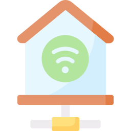 Local network icon