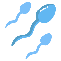 espermatozoides Ícone