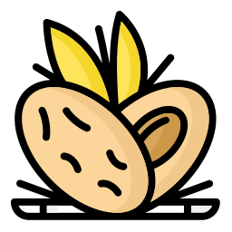 Dates icon