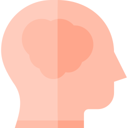 Brain icon