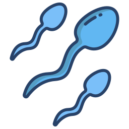 les spermatozoïdes Icône