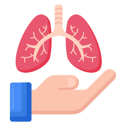 sistema respiratorio icona