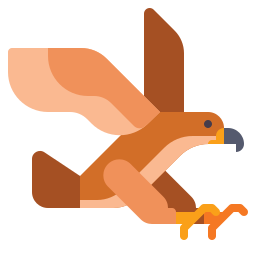 Hawk icon