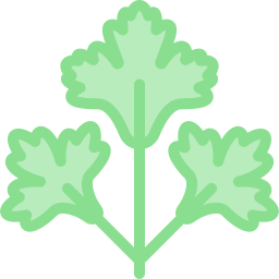 koriander icon