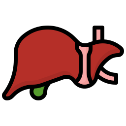 Liver icon