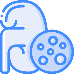 Kidney icon